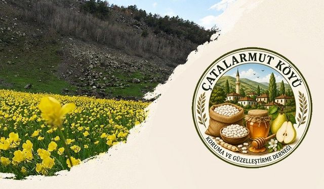 Çatalarmut Yaylası’nda Şenlik Zamanı: Coşku Dolu Bir Gün Sizi Bekliyor