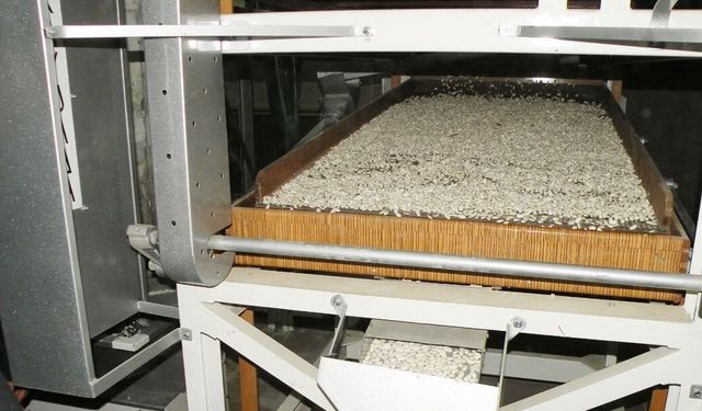 Erzincan’da Kuru Fasulye İçin Yeni Proje