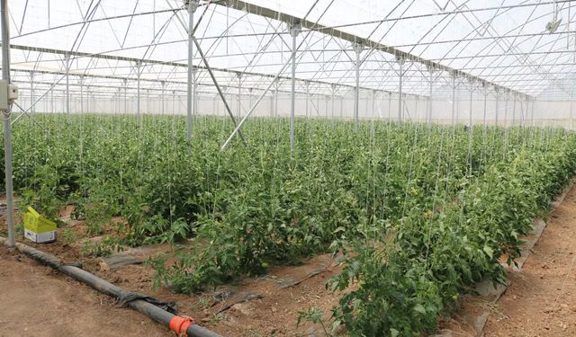 Erzincan’da Modern Seracılık Vurgusu
