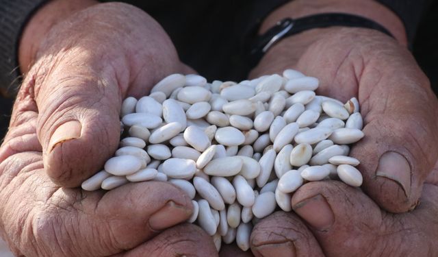 KUDAKA’dan Erzincan’a Destek: Fasulye Projesi Onaylandı