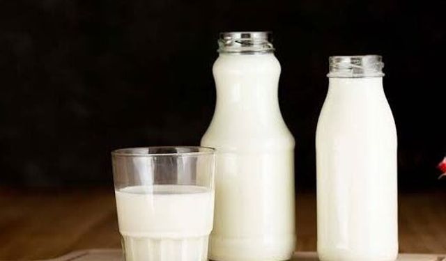 Keçi Sütü Sindirimde Öne Çıkıyor