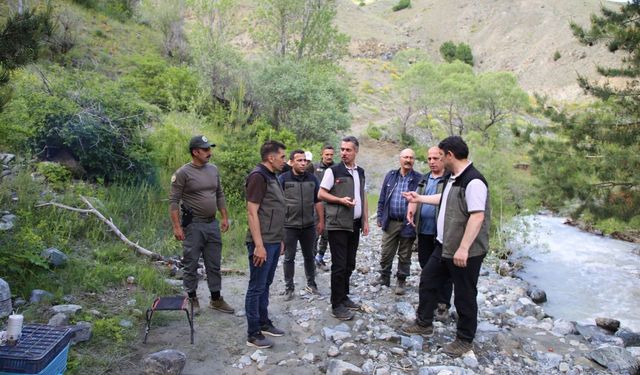 Orman Çalışmaları Yerinde İncelendi