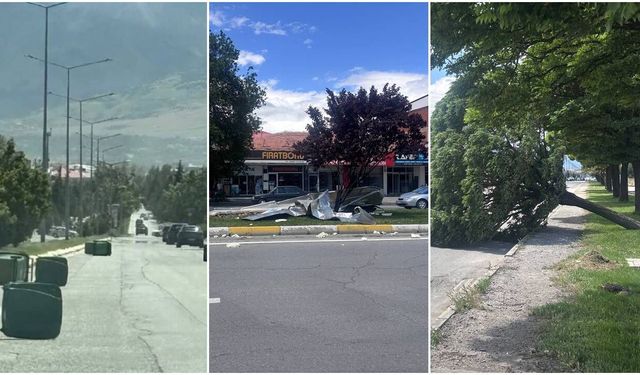 Erzincan’da Şiddetli Rüzgardan Ağaçlar Devrildi Çatılar Uçtu (VİDEO)