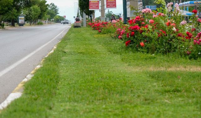 Kentin Parklarında Renkli Dokunuş