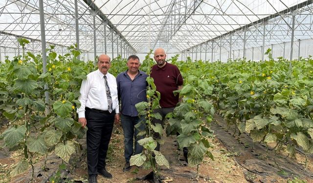 Süleyman Tan’dan Sera Turu