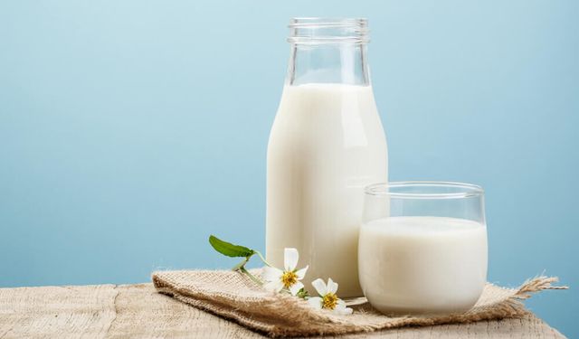 Erzincan’da Süt Üretimine Vurgu