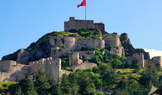 Tarihi Yapıların Deprem Performansı Analizi