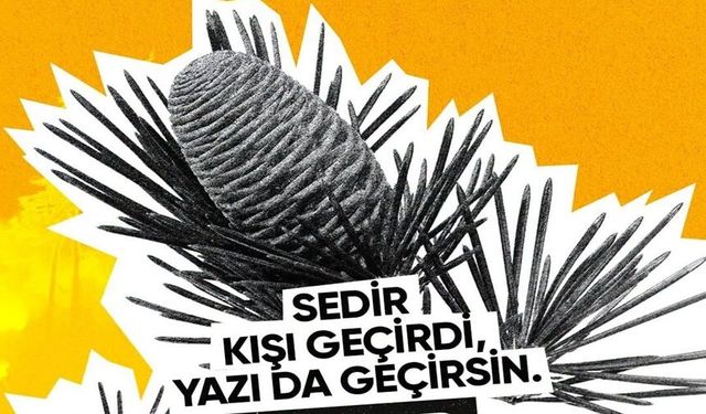 Orman Yangını Uyarısı: “Yeşil Vatan Yanmasın”