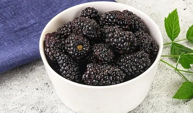 Böğürtlende Kaliteyi Uzatan Sır