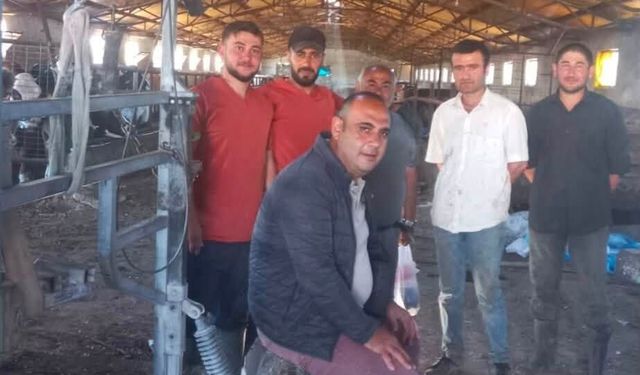 Damızlık Sığır Yetiştiricileri Birliği'nden Üreticiye Yerinde Tırnak Bakımı Hizmeti