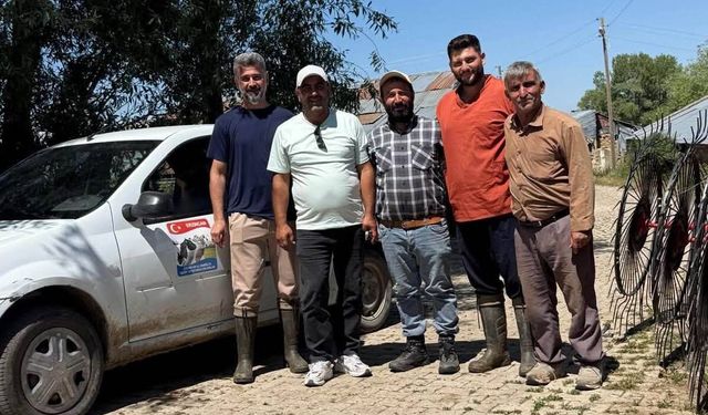 Erzincan'da Yayladaki Buzağılara Küpeleme Hizmeti
