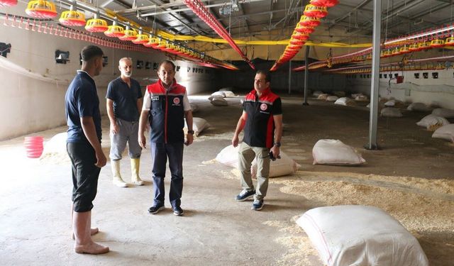 Erzincan’da Tavukçulukta Dev Yatırım