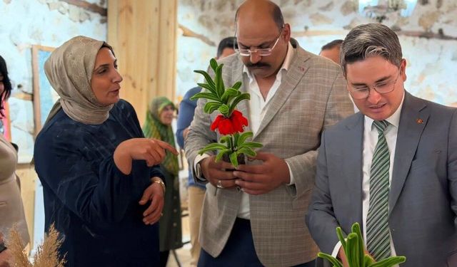 Kemaliye’de Sanat Rüzgarı