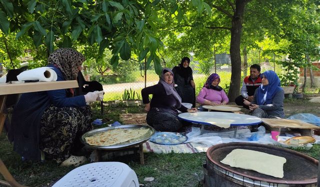 Meyve Bahçelerinde Hastalık ve Zararlılara Karşı Üreticilere Yerinde Eğitim