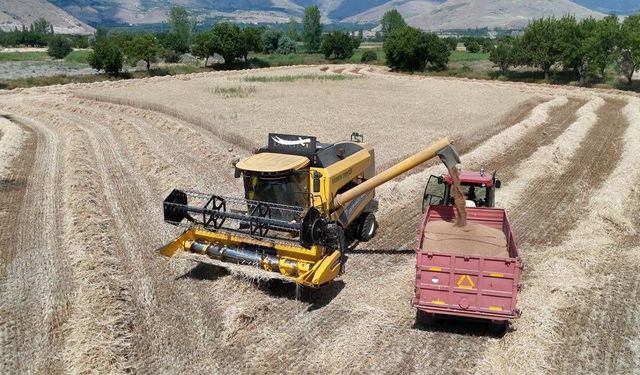 Erzincan'da Buğday Hasadında Sıkı Denetim: Dane Kaybına Geçit Yok