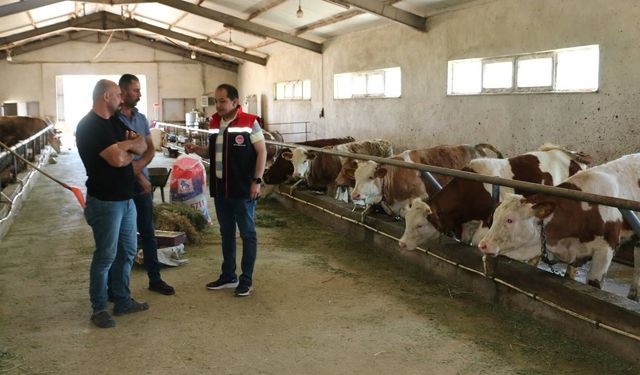 Erzincan'da Modern Hayvancılık Sahada İncelendi