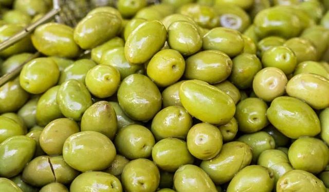 Zeytinin Genetik Gizemi Çözüldü