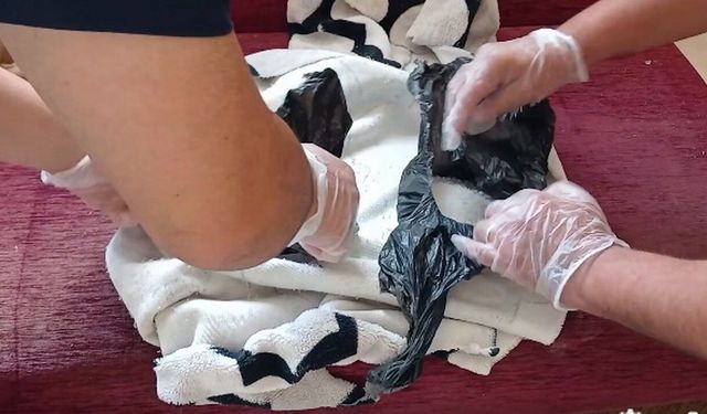 20 İlde Büyük Narkotik Operasyonu: Milyonlarca Kök Bitki ve Tonlarca Uyuşturucu Ele Geçirildi