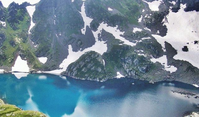 Buzul Göllerinin Altında Gizli Hazine: Bilinmeyen Türler Türkiye Florasına Eklendi!