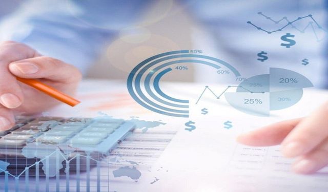 Finansal Pusula: Şirketlerin Başarısını Tahmin Eden Gizli Formül