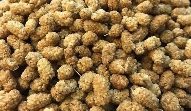 Eskiden Altın Gibi Buğdayla Takas Ediliyordu: Tescilli Kemaliye Dutu Hakkında Her Şey