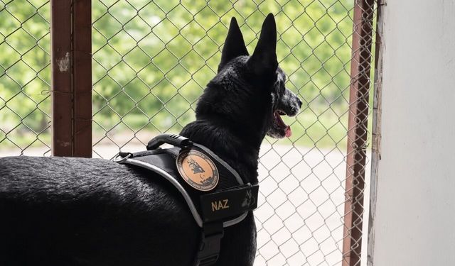 Narkotik operasyonlarının kahramanı narkotik köpeği emekli oldu