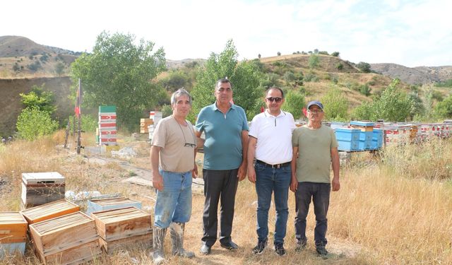 80 Kovanlık Arılıkta Dikkat Çeken Görüntü! Türk Bayraklarıyla Donattı