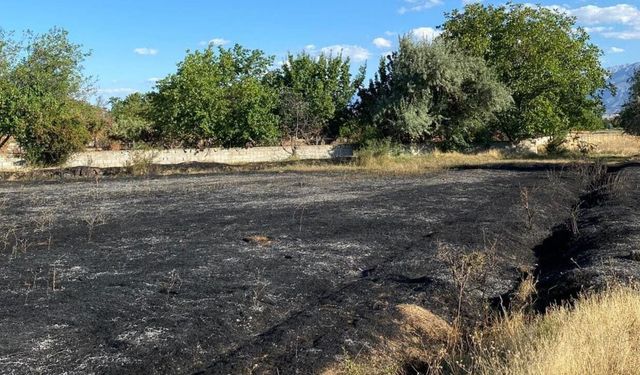 Kavakyolu'nda Korkutan Anız Yangını!