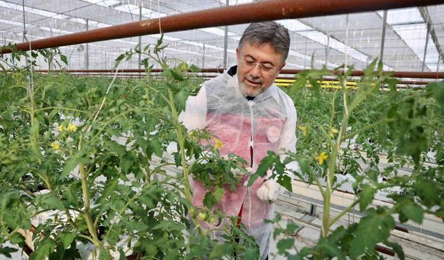 Bakan Yumaklı'dan Erzincan'da jeotermal sera mesajı