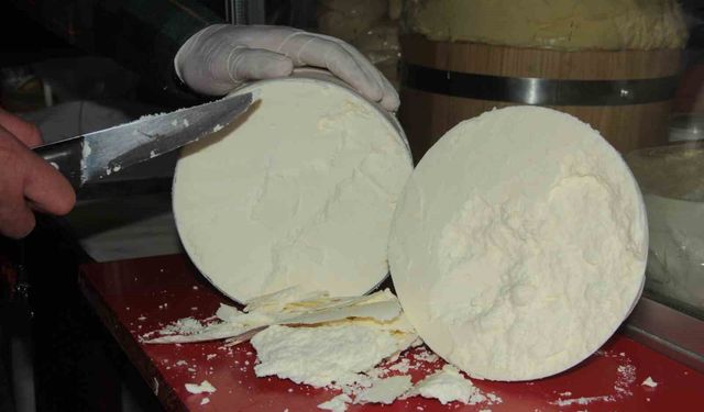 Erzincan Tulum Peyniri toz forma taşınıyor