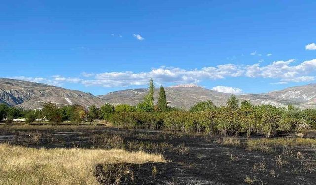 Erzincan'da anız yangını büyümeden söndürüldü