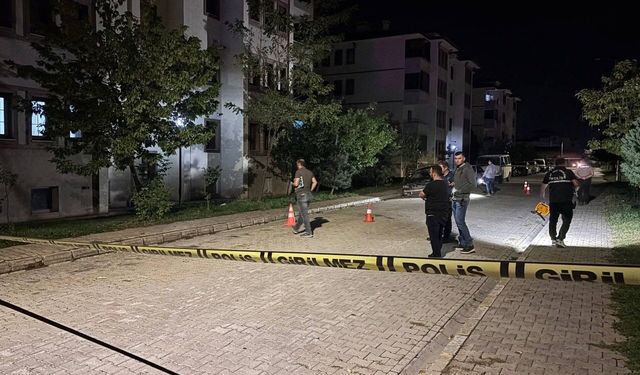 Erzincan'da bir eve silahla ateş edildi