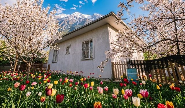 Erzincan'da Baharı Rengârenk Karşılamanın 12 Altın Kuralı