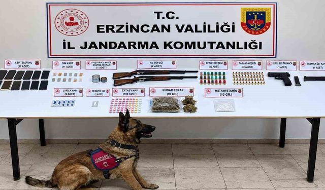 Erzincan'da uyuşturucu operasyonunda 10 şüpheli gözaltına alındı