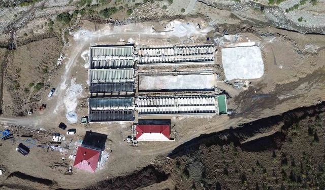 Erzincan'dan 18 ülkeye somon yolculuğu