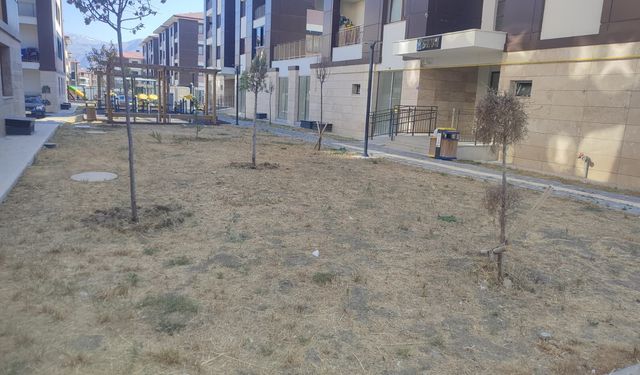 Kızılay TOKİ'de Çimler Kurudu, Bahçeler Bakımsız Kaldı