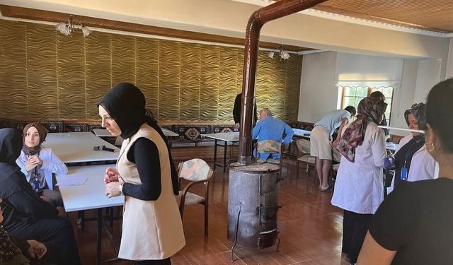 Sağlık ekipleri köy köy geziyor: Erzincan'da vatandaşlara sağlıklı yaşam bilgilendirmesi
