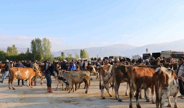 Erzincan