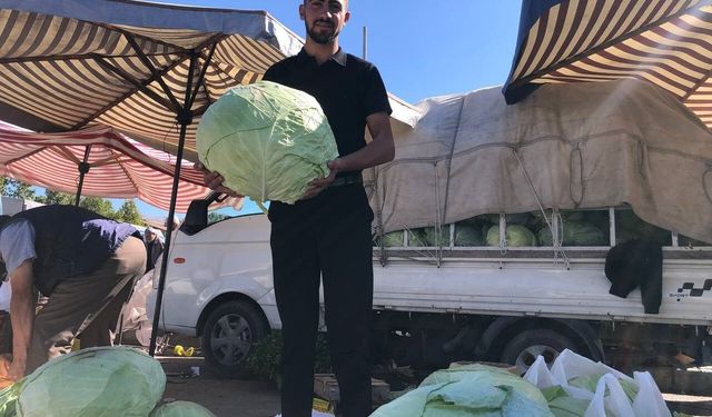 Erzincan