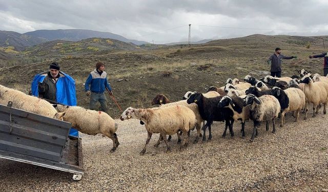 Erzincan