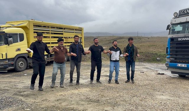 Erzincan Tulum Peyniri Üreticilerinden Üretim Sezonuna Halaylı Veda (VİDEO)