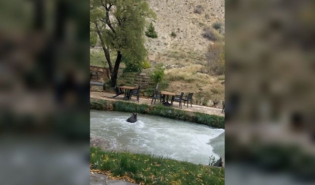 Erzincan