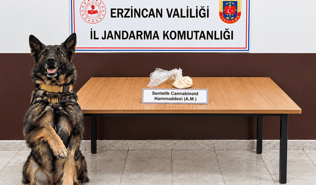 Erzincan’da yasaklı madde operasyonu: 2 şüpheli gözaltında