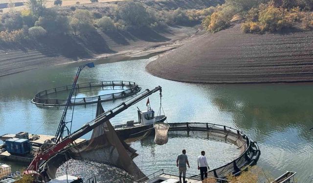 Erzincan