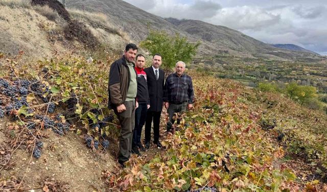 Erzincan