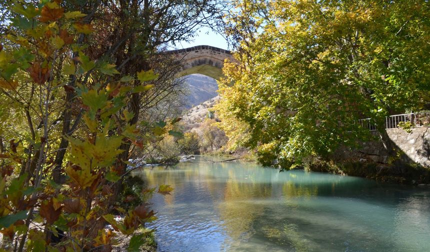Erzincan İdare Mahkemesi’nden Tağar Vadisi’ndeki HES Projesine İptal Kararı