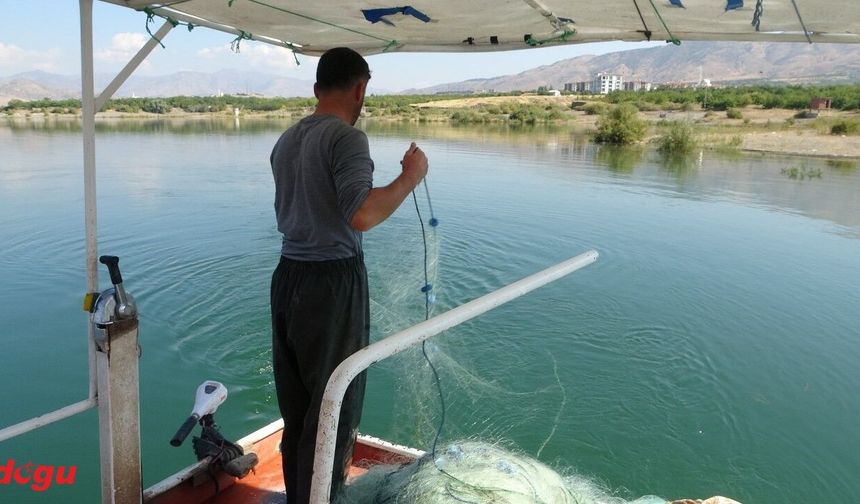 Sazangiller İçin Av Yasağı Başladı: Erzincan da Kapsamda