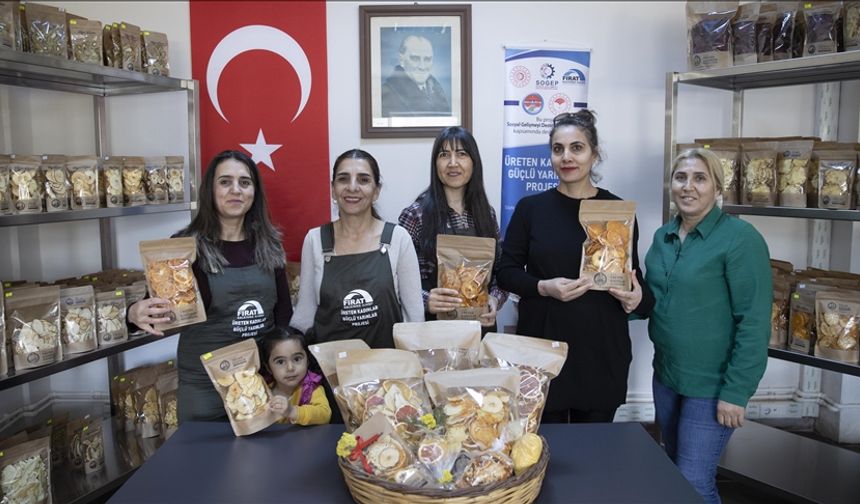 Tunceli'de kurulan meyve sebze kurutma tesisi dar gelirli kadınlara iş kapısı oldu