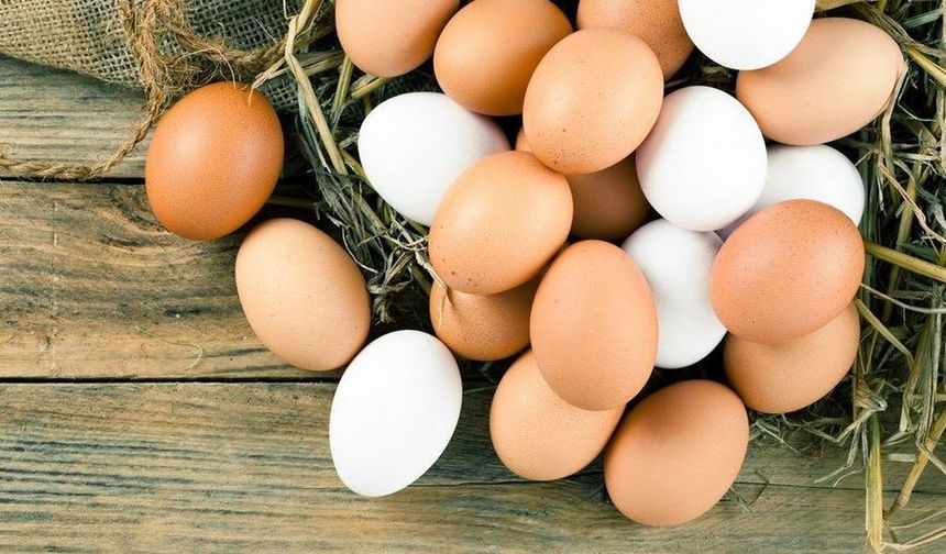 Kahverengi yumurta daha mı sağlıklı?
