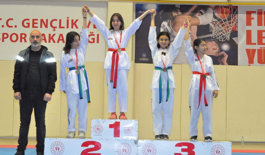 Taekwondo İl Birinciliği Müsabakaları yapıldı